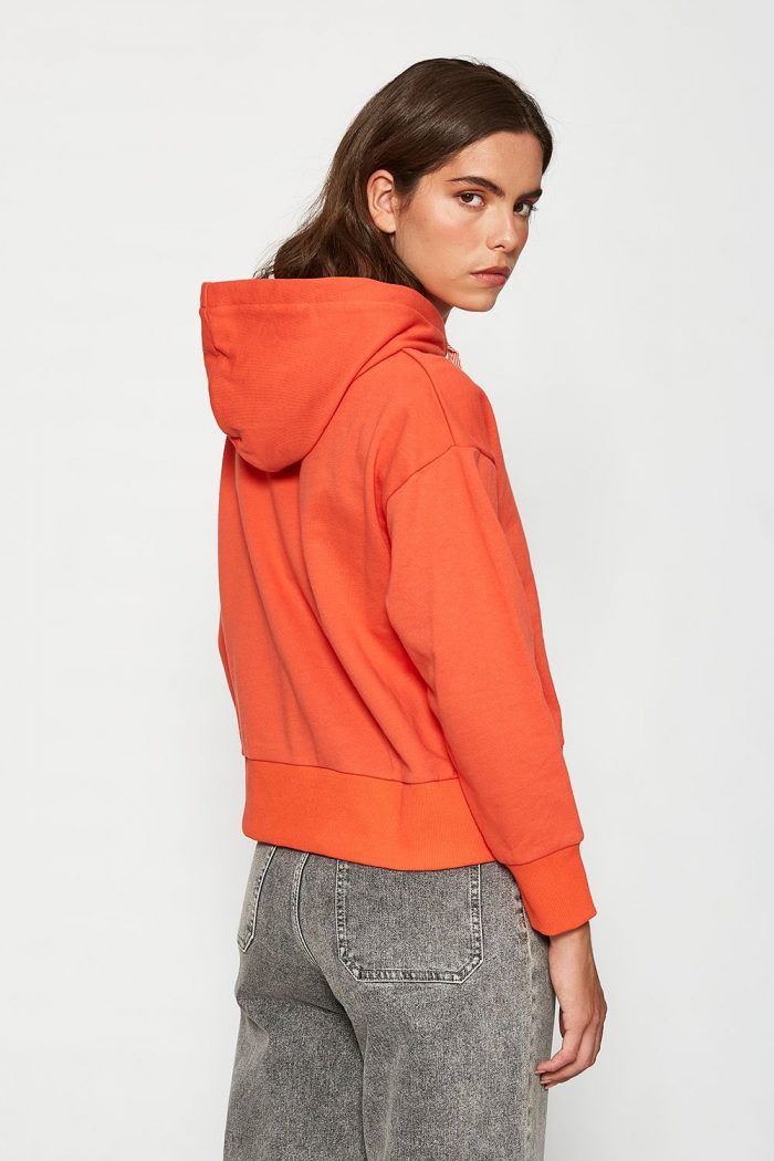 Sudadera perrito con boina y gafas - Imagen 4