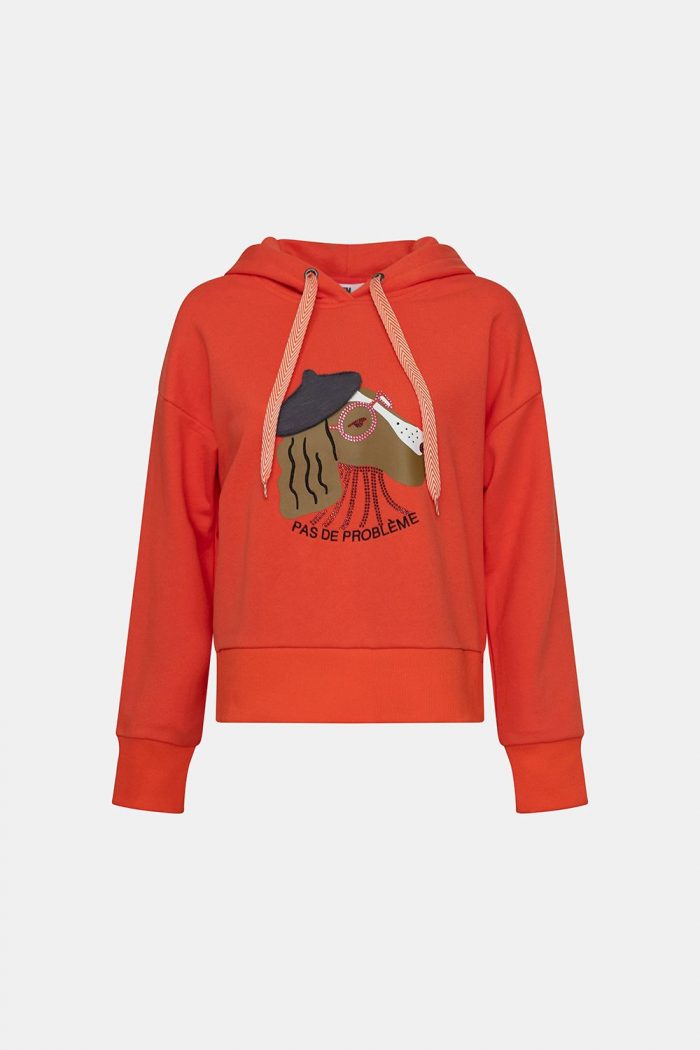 Sudadera perrito con boina y gafas - Imagen 6