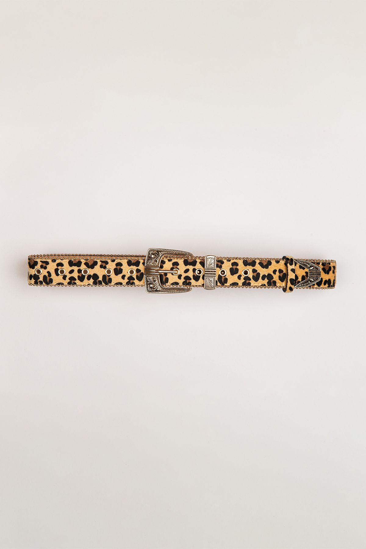 252-425-1 Leo Belt - Imagen 1