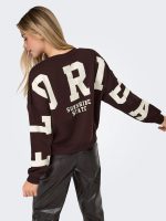 Sudadera Only Sweat Florida