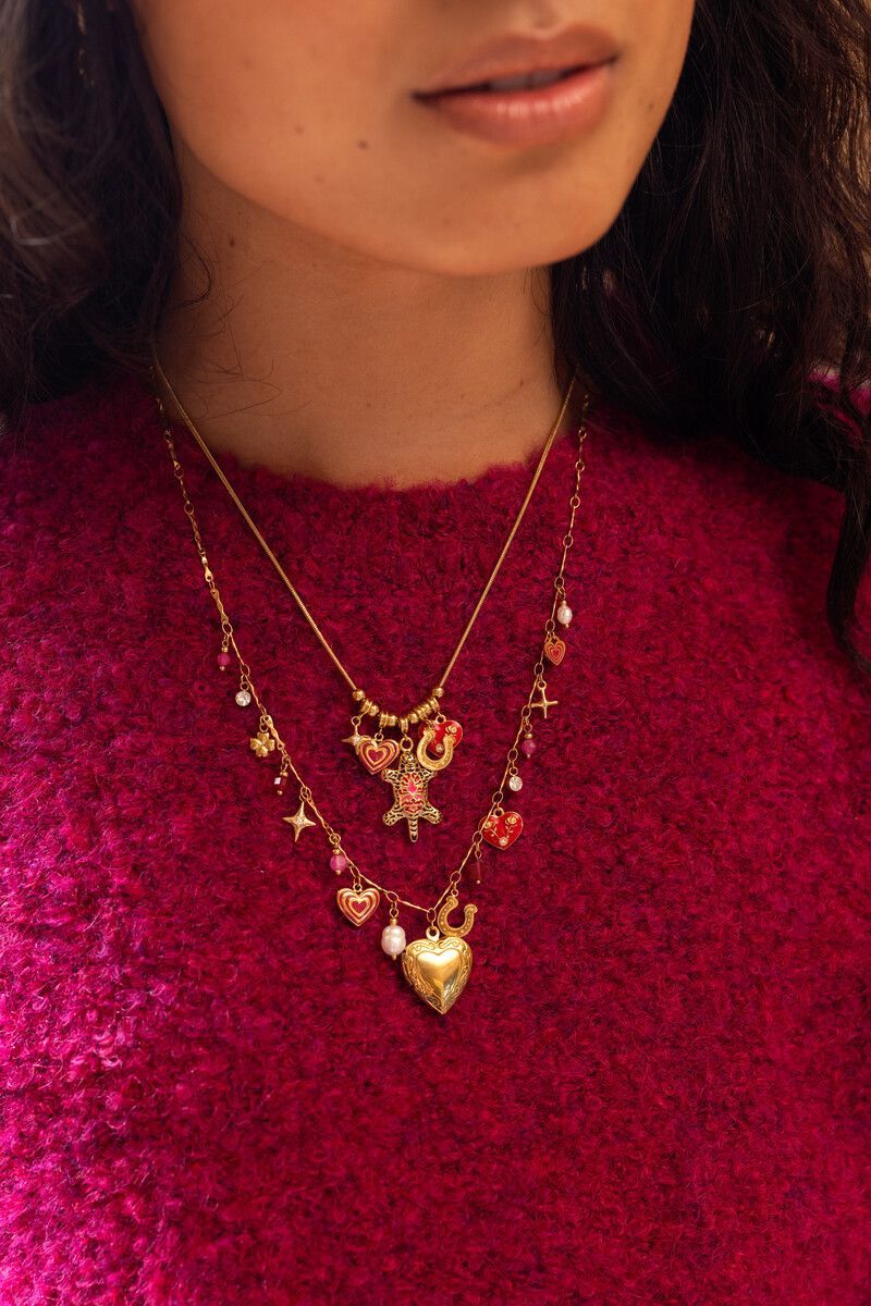 product_images-shoot-velsen25-juli-57 Collar con charms místicos y leopardo - Imagen 1