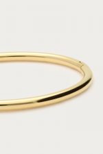 Brazalete rígido - Imagen 3