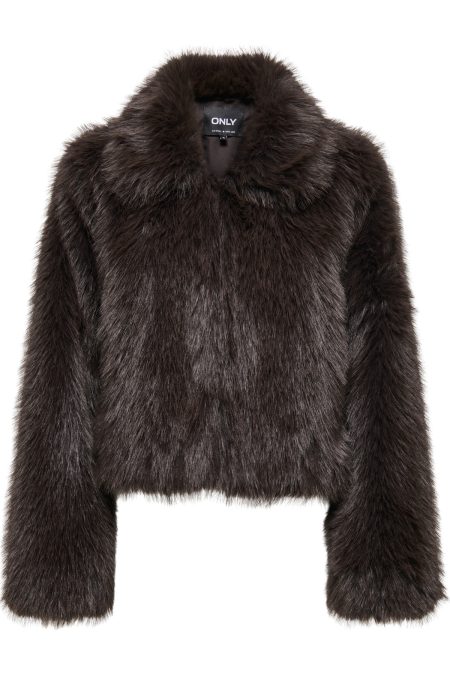 F_15322406_M_4902782_Front.jpg
